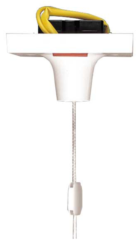 Ceiling Switch, 1 Way DP c/w Neon Flush, 1.5M Cord