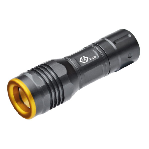 CK LED HAND TORCH 120 LUMENS