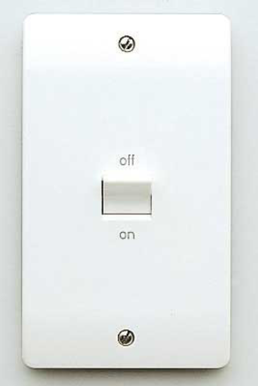 Switch, DP 2G Flush