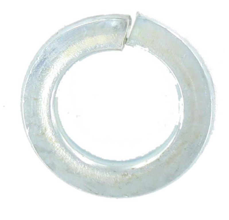 M10 BZP Spring Washer (100)