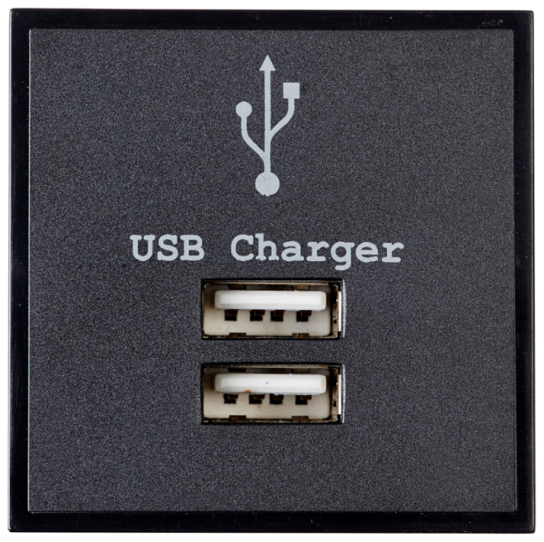 Module, 2 Gang USB Charger