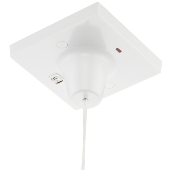 Ceiling Switch, DP - Image 3