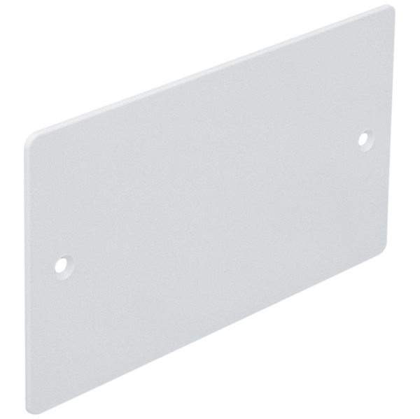 Blanking Plate, 2 Gang