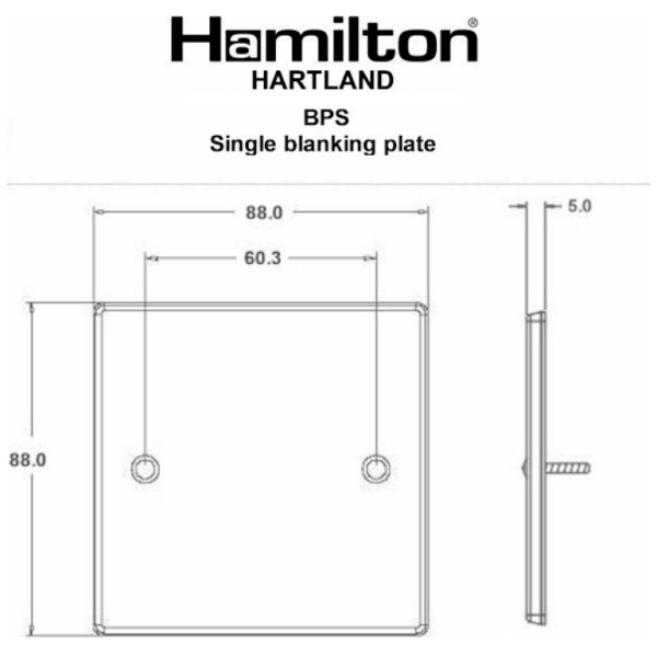 HAMILTON 1G BLANK PLATE - Image 2