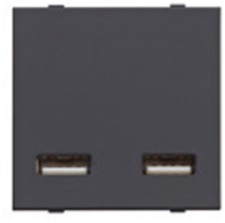 Module, USB Charging