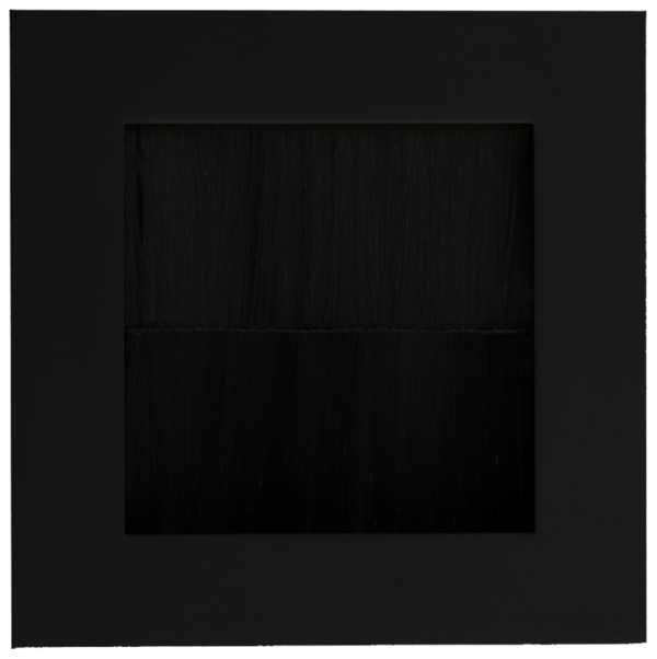 Module, 2 Gang Brush Flex Outlet