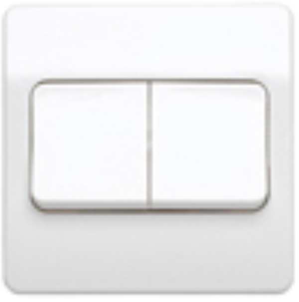 Plate Switch, 2 Gang 2 Way SP, Wide Rockers