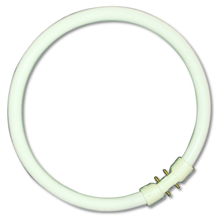 Lamp, T5 Circular, Fluorescent Tube