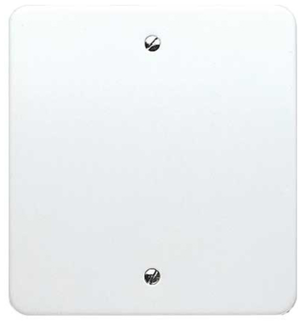 Blanking Plate, Flush