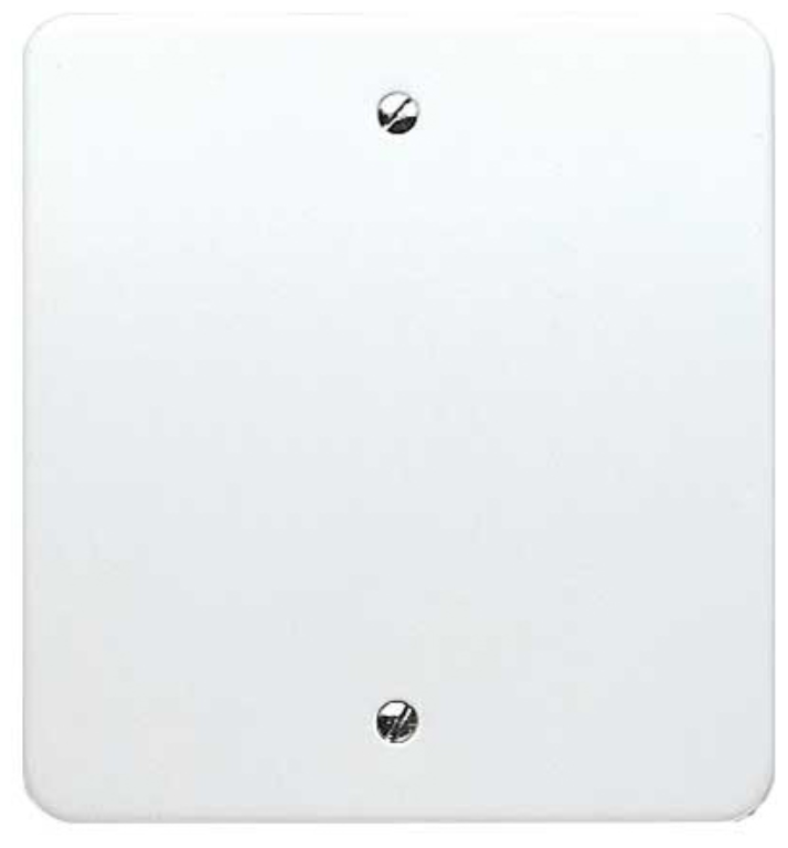 Blanking Plate, Flush
