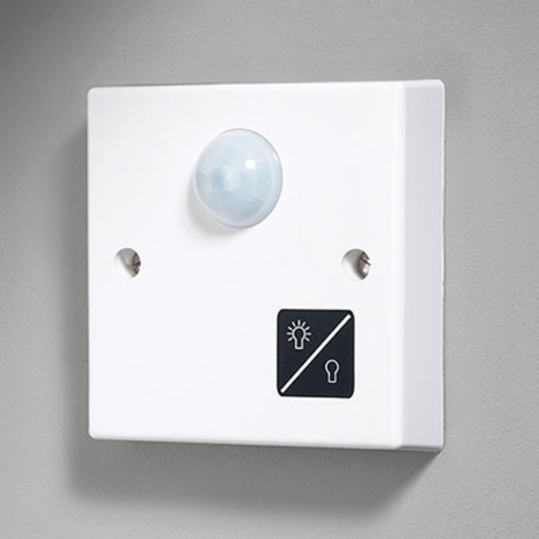 Detector, Absence No Neutral
