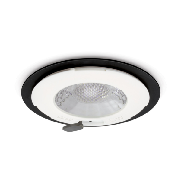 Downlight, V50 LED Fire Rated w/o Bezel IP65