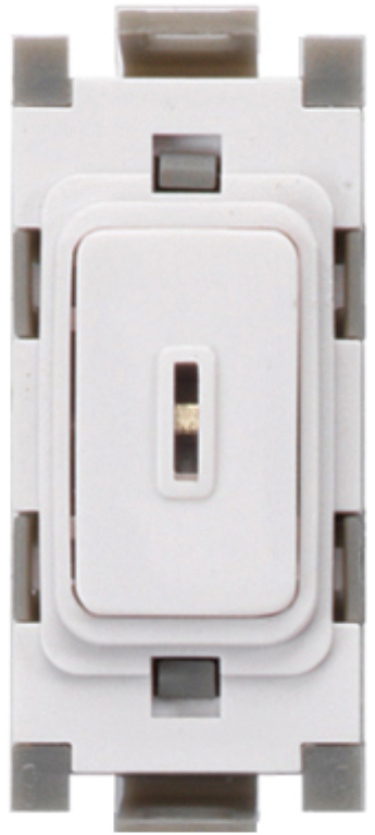 Grid Switch, Intermediate Module c/w Key