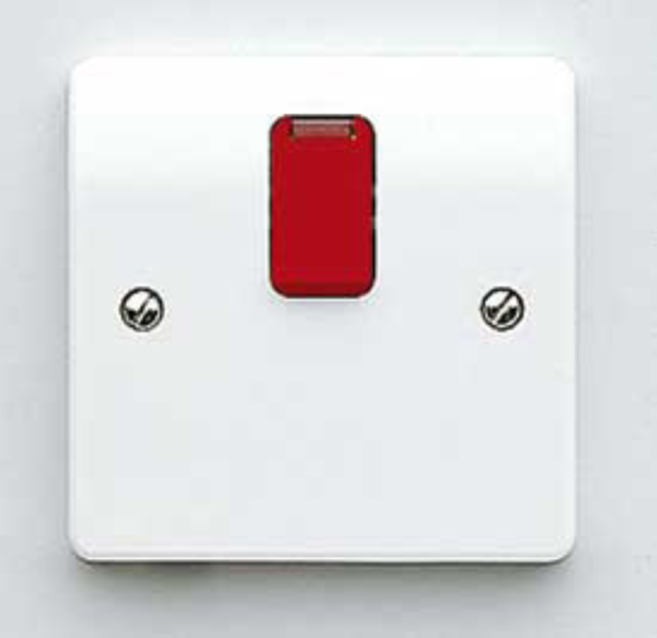 Switch, DP c/w Neon Base Flex Outlet, Red Rocker
