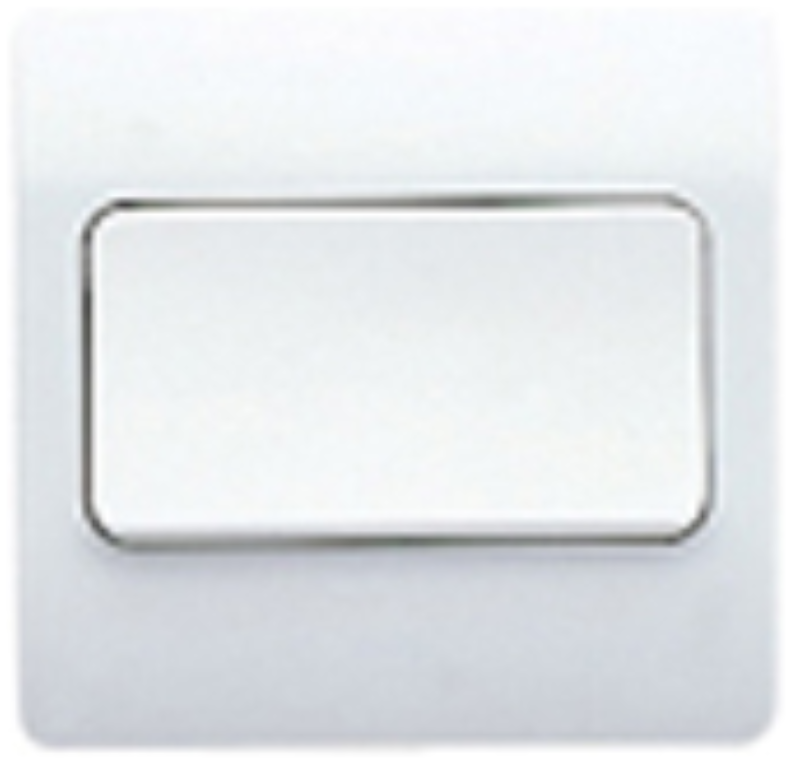 Plate Switch, 1 Gang 2 Way SP, Wide Rockers