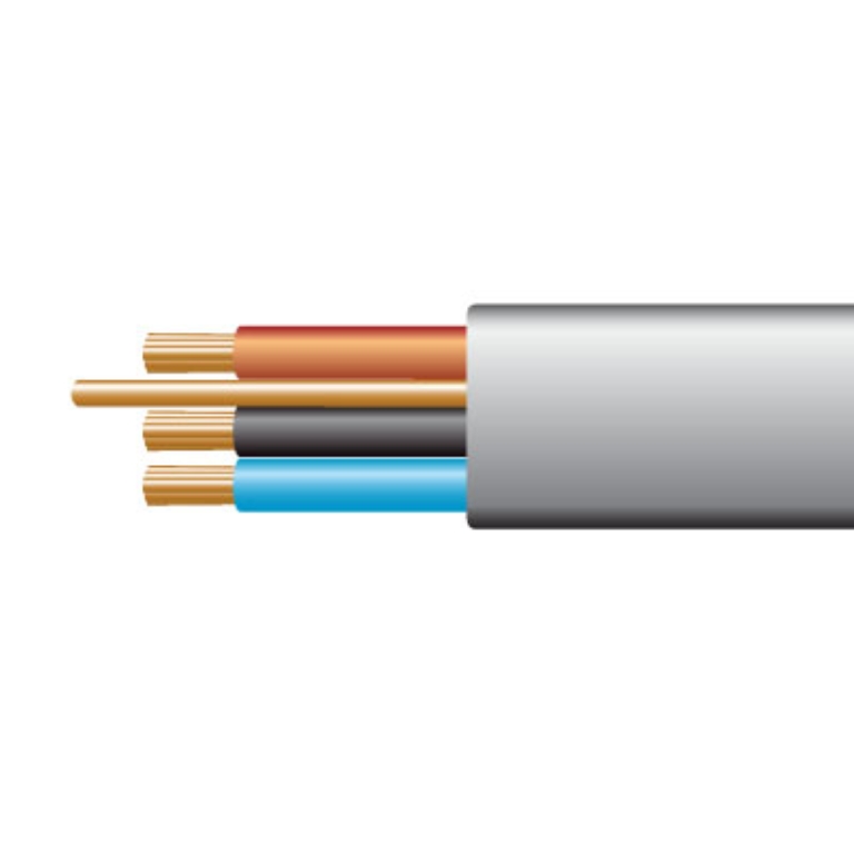 1.0M 3C+E CABLE(100)