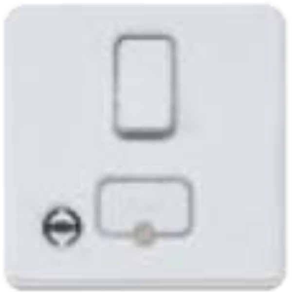 Connection Unit, 1 Gang DP c/w Neon & Flex Outlet, Switched