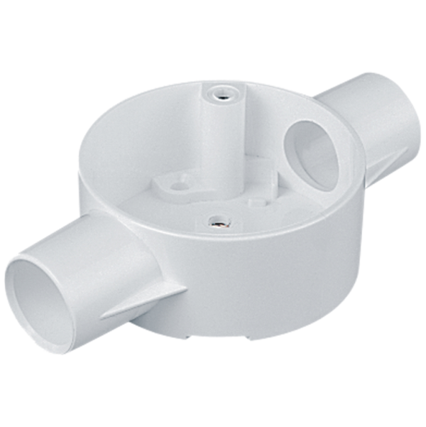 MT 20MM THROUGH BOX WHI