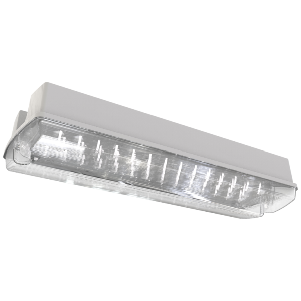 Bulkhead, LED 3hrM/NM c/w Legend & Driver, IP65
