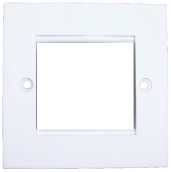 Data Plate, 1 Gang 2 Module