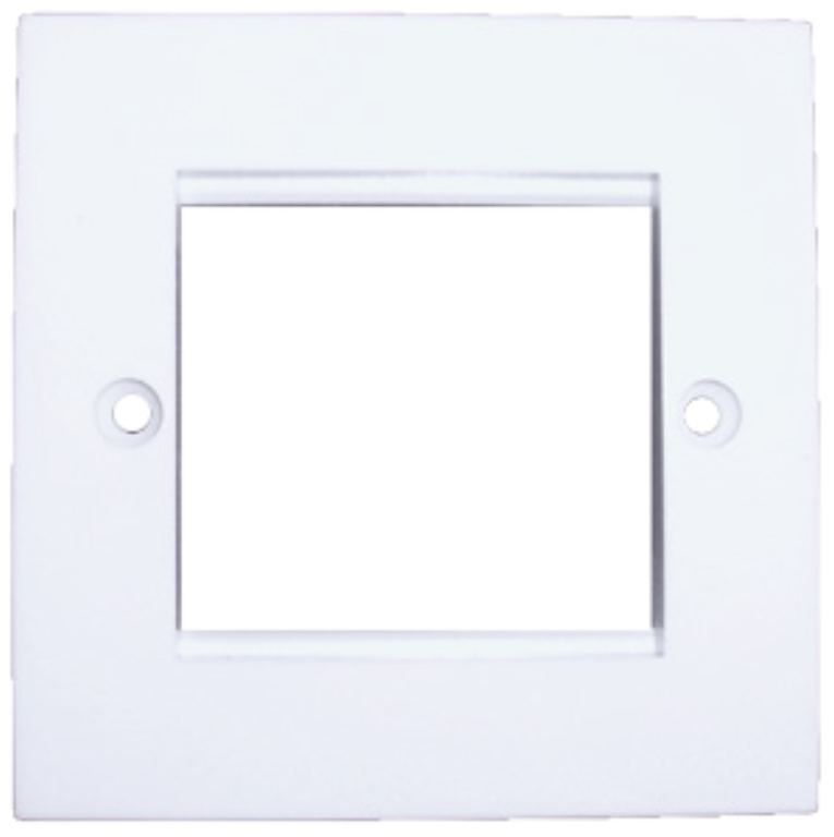 Data Plate, 1 Gang 2 Module