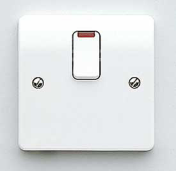 Switch, DP c/w Neon Base Flex Outlet