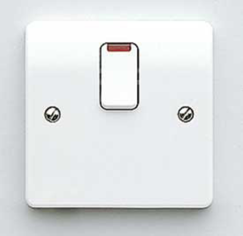 Switch, DP c/w Neon Base Flex Outlet